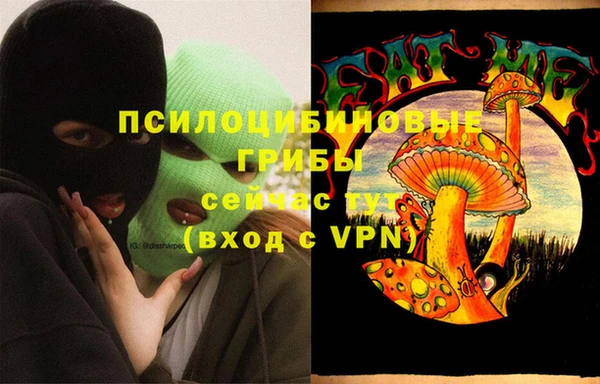 ешки Абаза