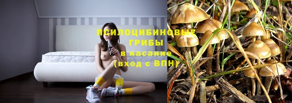 спиды Алексин