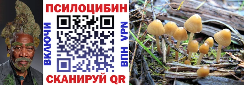 Галлюциногенные грибы GOLDEN TEACHER Сясьстрой