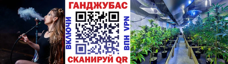 Бошки марихуана Bruce Banner  Сясьстрой 
